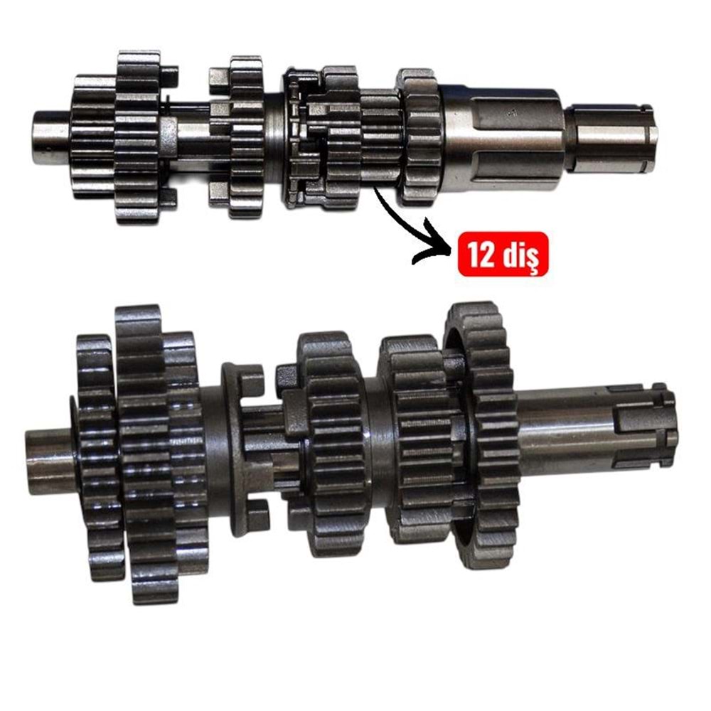 ŞANZUMAN DİŞLİSİ KOMPLE KUBA ÇITA İTHAL