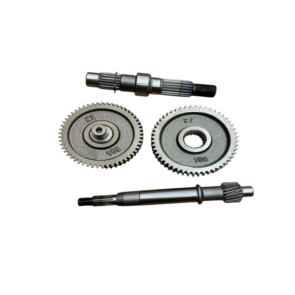 ŞANZUMAN AKTARMA DİŞLİ SETİ 50 SCT - CAPPUCİNO (4 LÜ)