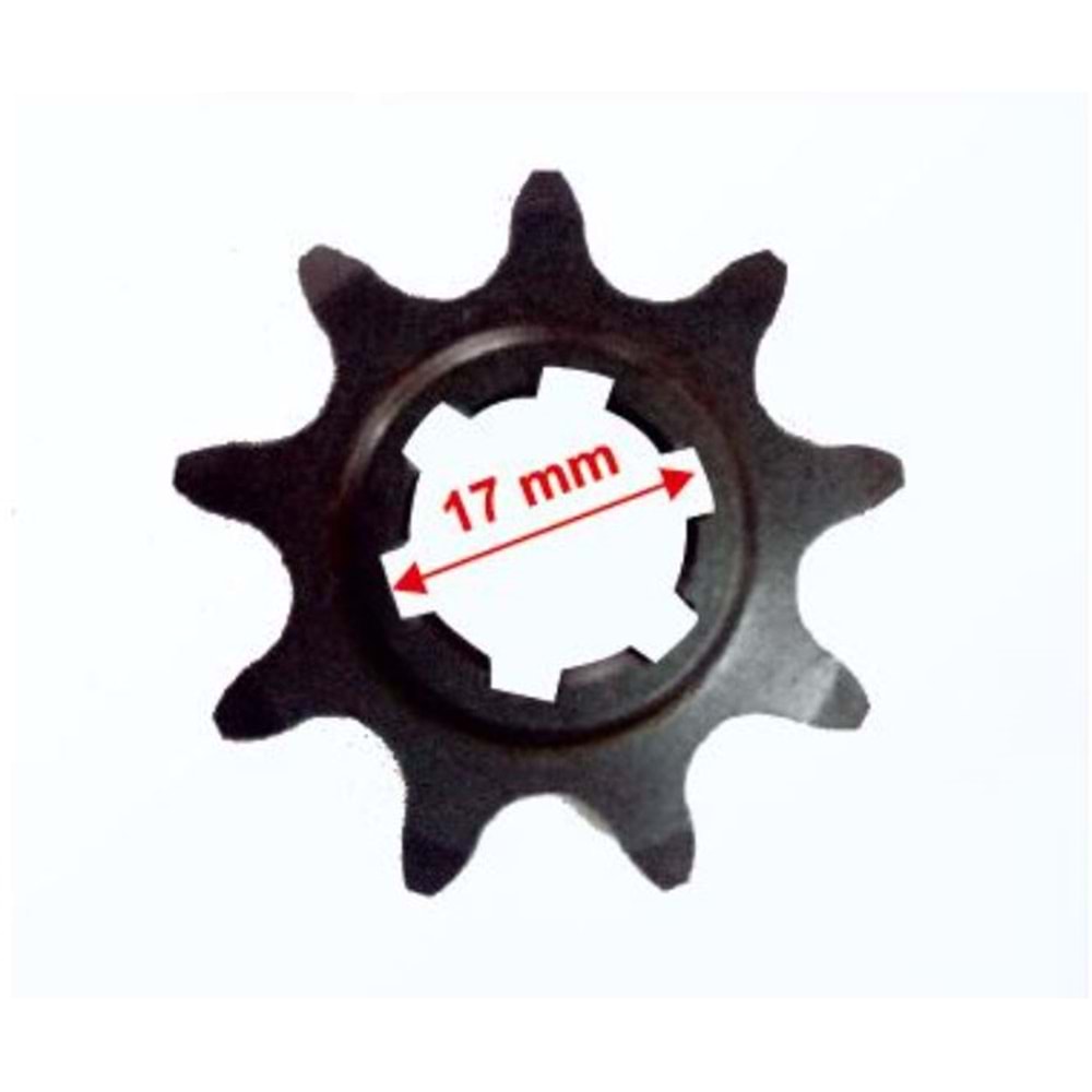 ÖN DİŞLİ CUP (9)