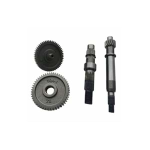 ŞANZUMAN AKTARMA DİŞLİ SETİ 50 SCT - REVİVAL (4 LÜ)