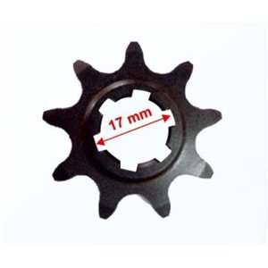 ÖN DİŞLİ CUP (9)