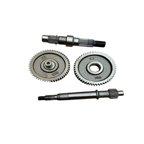 ŞANZUMAN AKTARMA DİŞLİ SETİ 50 SCT - CAPPUCİNO (4 LÜ)