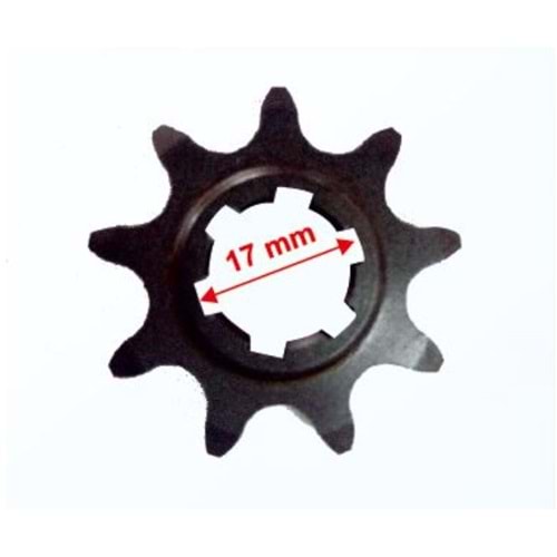 ÖN DİŞLİ CUP (9)