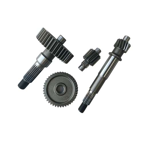 ŞANZUMAN AKTARMA DİŞLİ SETİ ACTİVA S (4 LÜ)