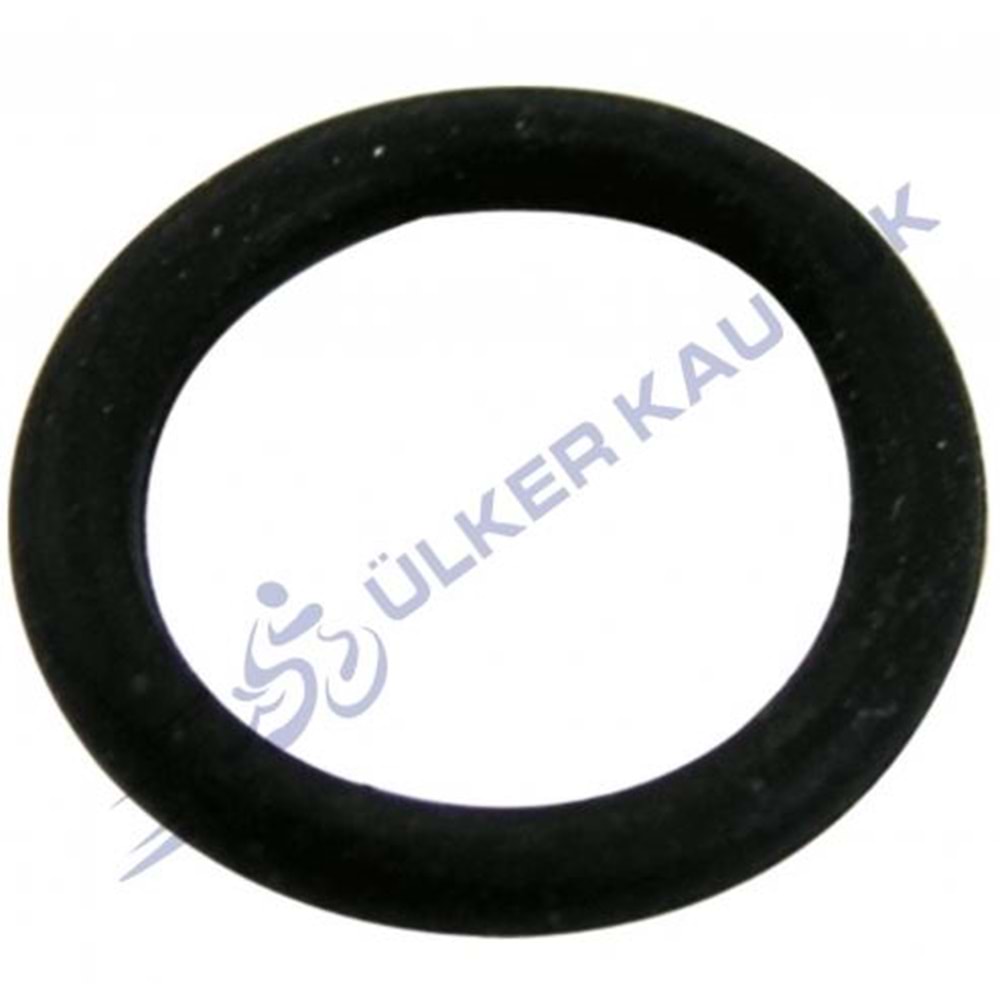 SİLİNDİR ORİNGİ CG MODEL